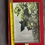 Brand New Boxed Vera Wang Wedgwood Photo Frame Image 4