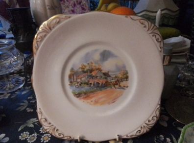 Royal Tara China Plate