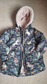 Next girls coat