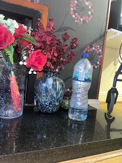 Flower vase and flowers