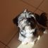 Lawlor_2022