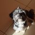 Lawlor_2022