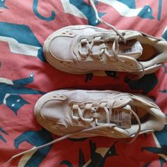 ladies fila trainers size 5.5