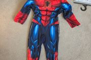 Spiderman Halloween Costume