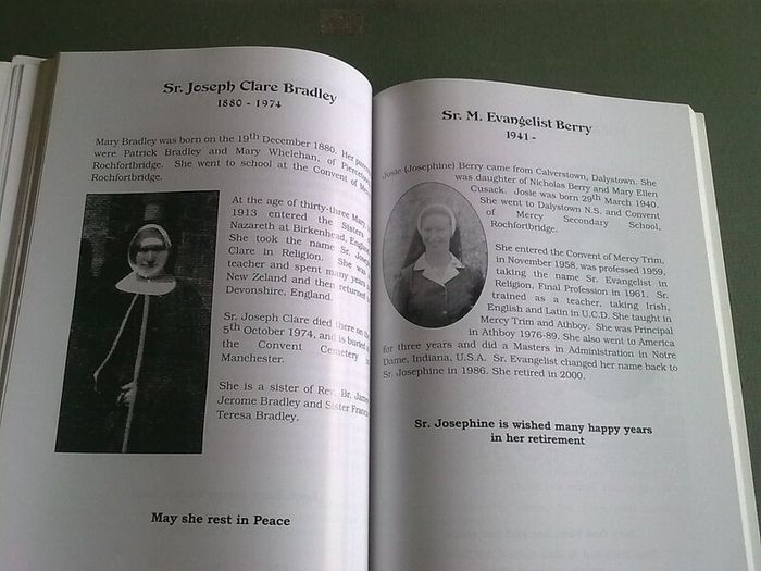 Light from the Bridge Ireland Irish Rochfortbridge Westmeath Genealogy History