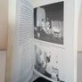 The Lost Theatres of Dublin by Philip B. Ryan (HQ861) Image 5