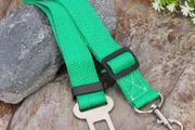 Dog car safety belts