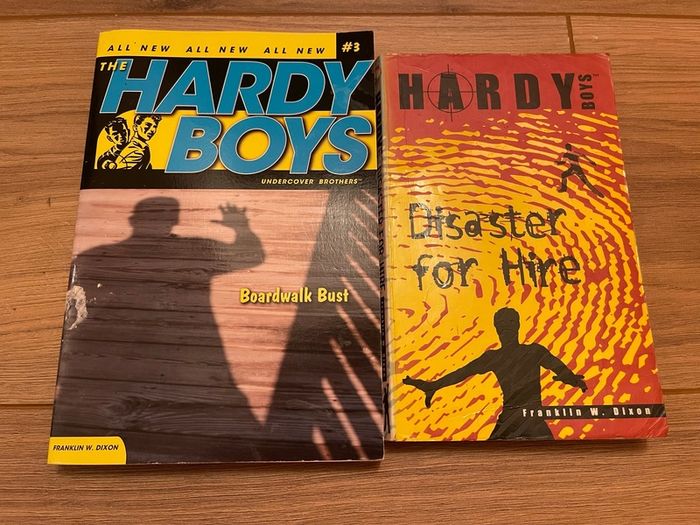 Hardy Boys books (price is for both)