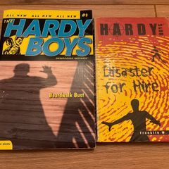 Hardy Boys books (price is for both)