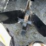 Two Wheel tractor + Tiller  + Furrower -  10HP Petrol Image 4