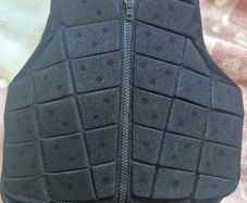 back protector
