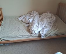 Mamas and Papas kids Bed