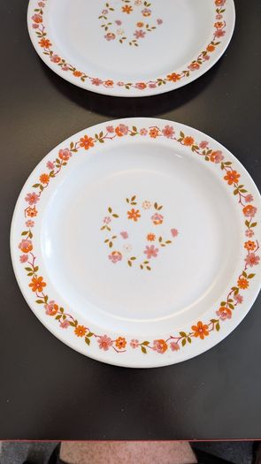 Vintage Arcopal France Orange Floral 27cm Dinner Plates Pair