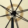 Parasol Image 6
