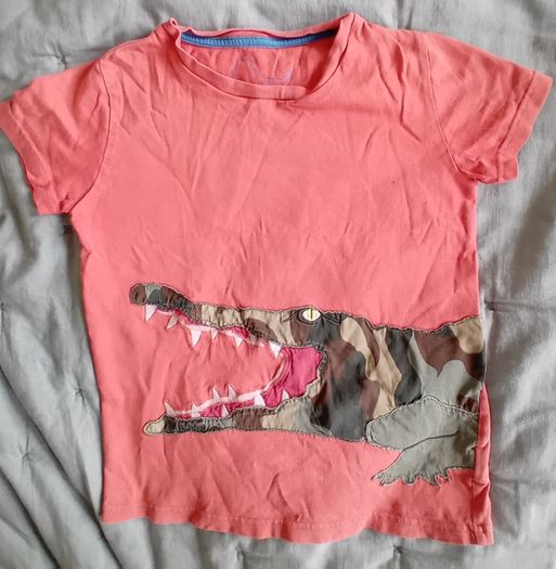 Mini Boden Crocodile Application