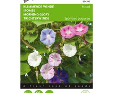 (M) Buzzy Ipomea seeds Morning Glory Mixed 2g (43904)