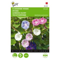 (M) Buzzy Ipomea seeds Morning Glory Mixed 2g (43904)