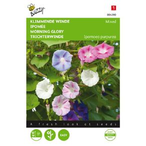 (M) Buzzy Ipomea seeds Morning Glory Mixed 2g (43904)