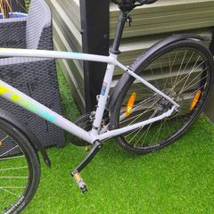 Trek FX2