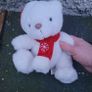 teddies Image 9