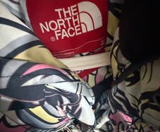 northface x supreme