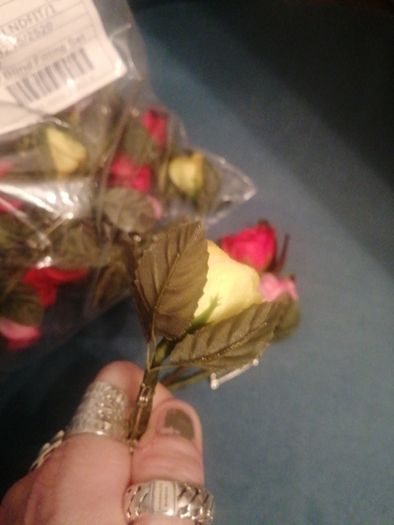 20 mixed coloured miniature roses