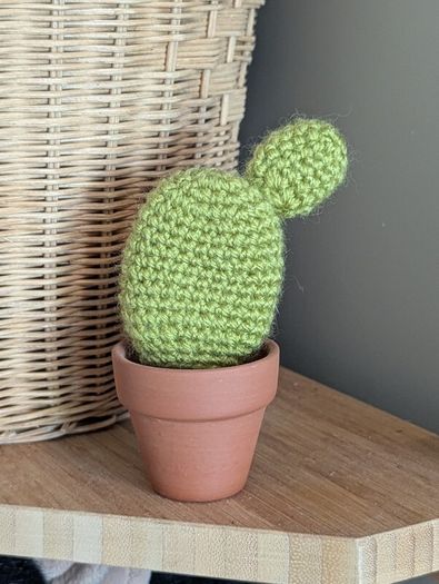 Handmade (crocheted) cactus
