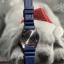 Citizen Promaster Professional Diver Automatic Watch With Navy Rubber Strap Brand New Image 4