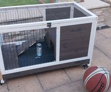 Rabbit Cage