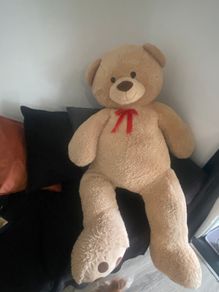 Big teddy