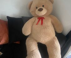 Big teddy