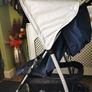 buggy Image 2