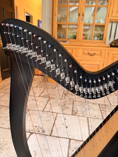 29 String Gear4music Harp