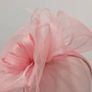 fascinator Image 8