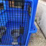 Dog- Cat travel crate Image 3