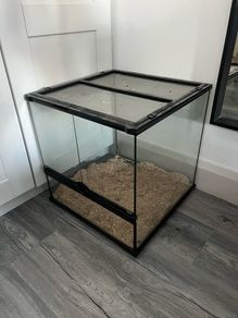 Snake Vivarium