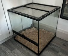 Snake Vivarium