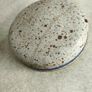 Rare Early Nicholas Mosse Irish Stoneware BLUE BIRD MOTIF Storage 8 1/4 inchs Tall Canister & Lid The lid have a cracke and been fixed Image 5