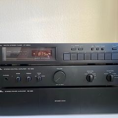Rotel RC-850 and RB-850 Pre and power amplifiers Dual Mono with Moving Magnet (MM) and Moving Coil (MC)  cartridges