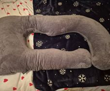 Pregnancy J Pillow Brand New