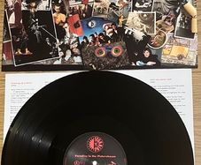 The Stunning Paradise in the Picturehouse vinyl