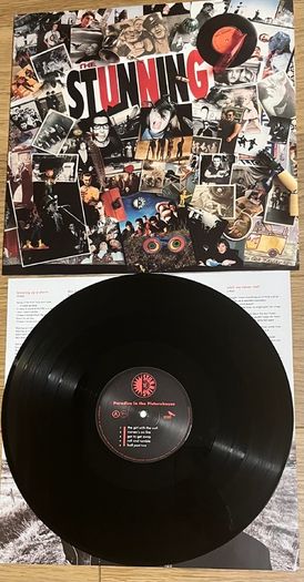 The Stunning Paradise in the Picturehouse vinyl