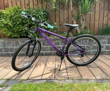 Team Alloy Mountain Bike Purple Cyan - Girls Bike 27.5" Wheel Size
