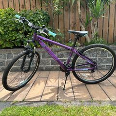 Team Alloy Mountain Bike Purple Cyan - Girls Bike 27.5" Wheel Size