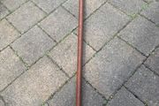 walking stick