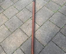 walking stick
