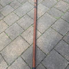 walking stick
