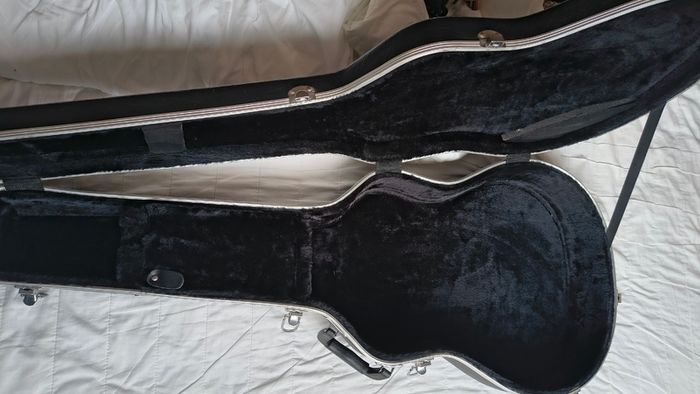Stunning Guitar Hardshell case