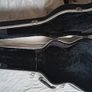 Stunning Guitar Hardshell case Image 2
