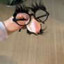 Halloween accessories- glasses and nose Image 2